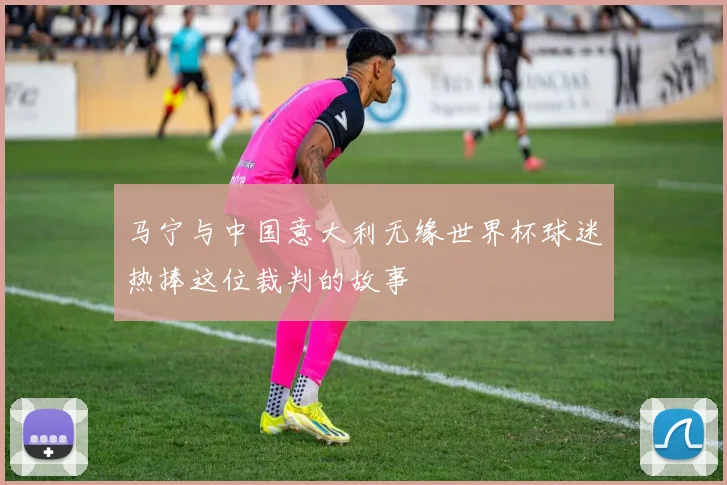 马宁与中国意大利无缘世界杯球迷热捧这位裁判的故事